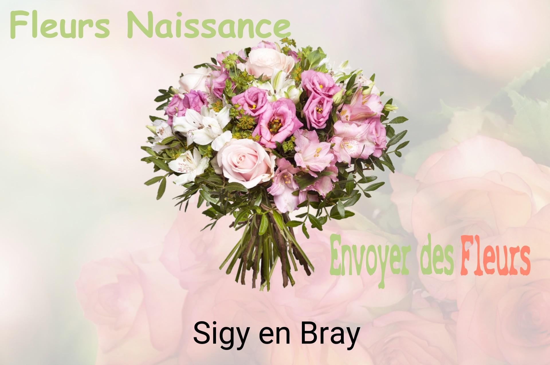 Bouquet de fleurs de naissance livré à Sigy-en-Bray